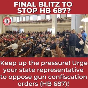 intimidate bullies legislators intimidation