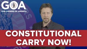 Dan Wos - Constitutional Carry Now! Video Poster