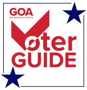 GOA voter guide